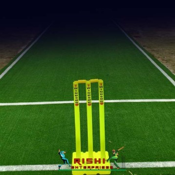 Cricket Pitch Maker India